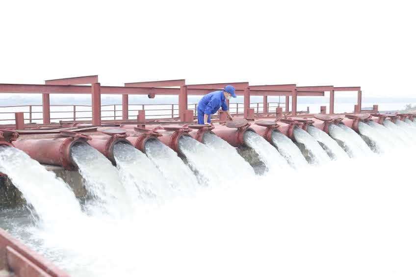 Lịch lấy nước phục vụ gieo cấy lúa vụ Đông Xuân 2025-2026, khu vực Trung du và Đồng bằng Bắc Bộ