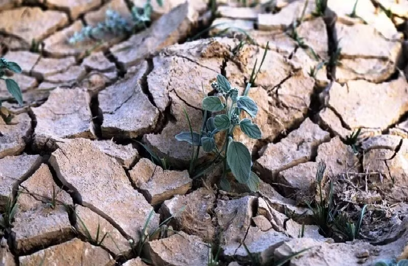 Bảo vệ tài nguyên nước toàn cầu