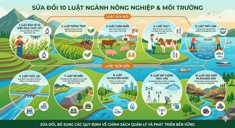 Bộ Nông nghiệp và Môi trường đề xuất sửa đổi 10 luật để tháo gỡ vướng mắc về thủ tục hành chính